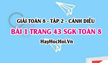 Bài 1 trang 43 Toán 8 Tập 2 Cánh Diều